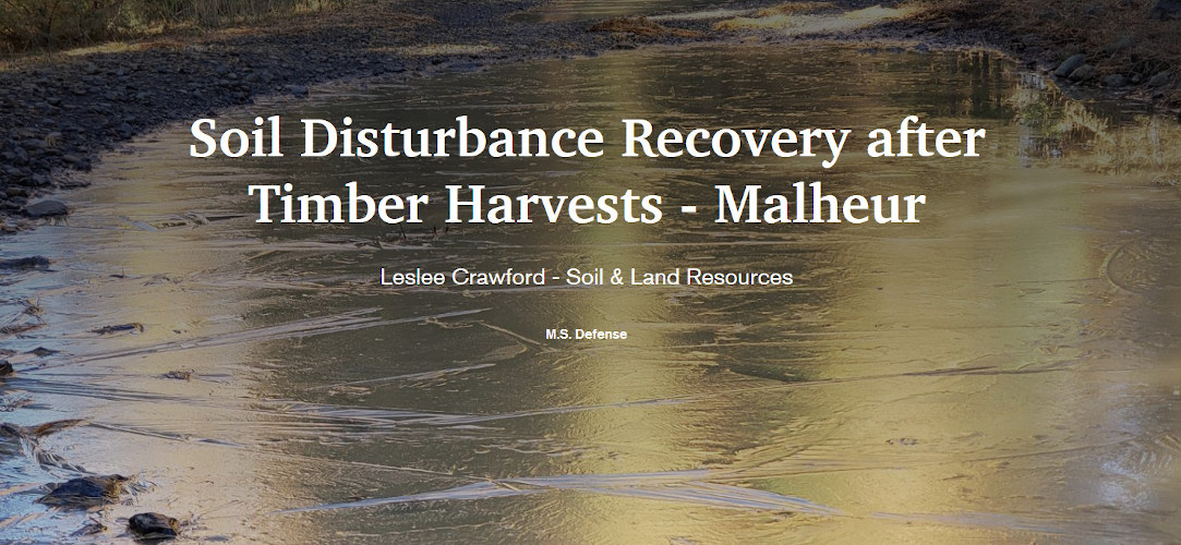 Soil Disturbance Recovery after Timber Harvests