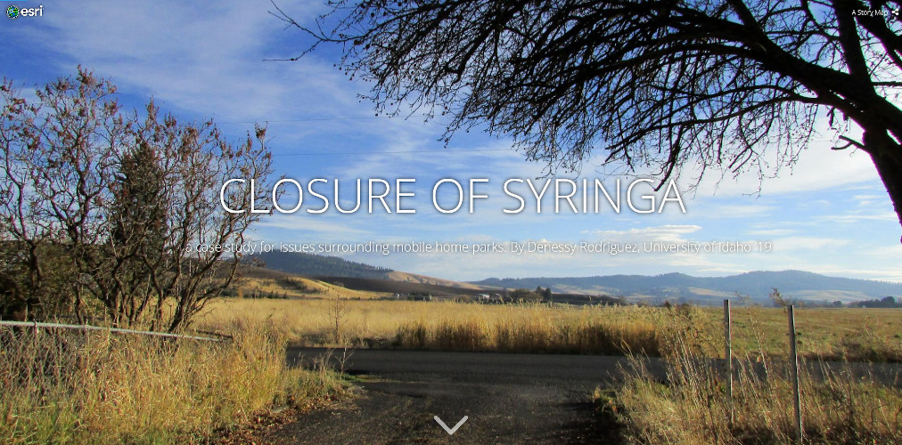 Closure Of Syringa